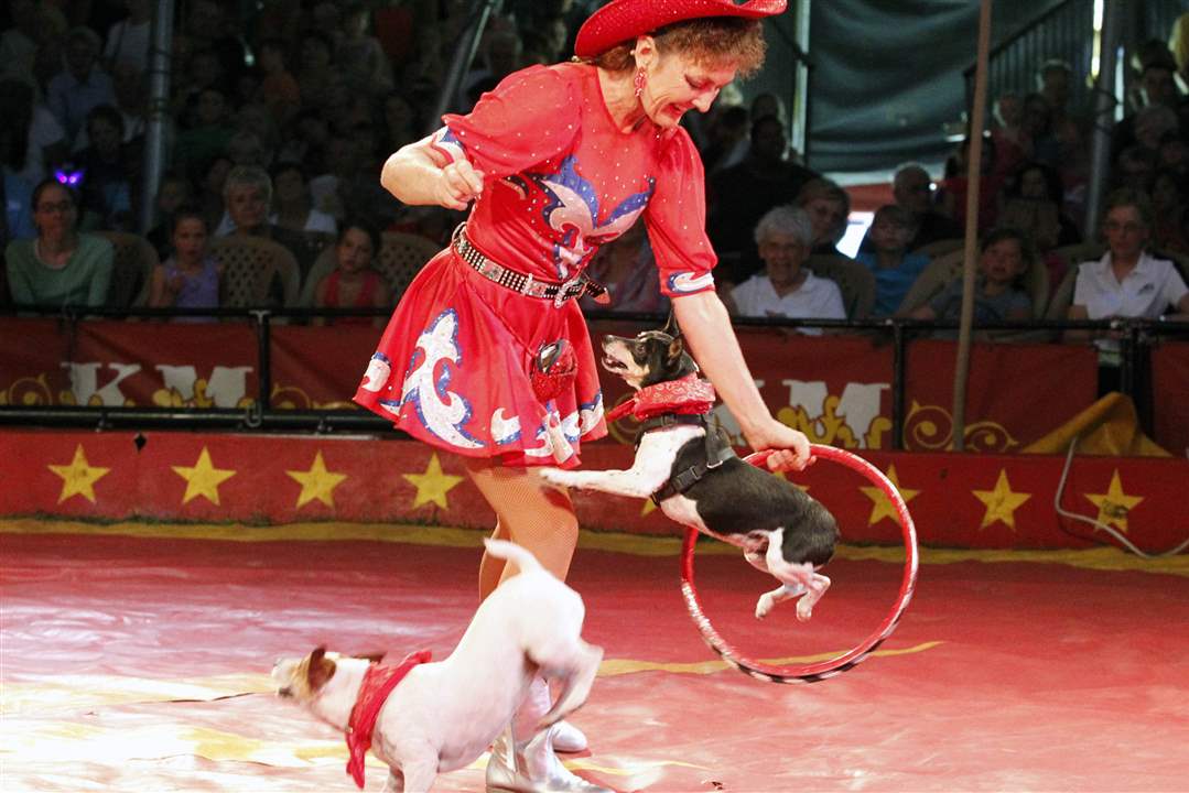 Kelly-Miller-Circus-Carolyn-Rice-dogs