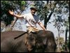 Steve-Pollick-rides-an-elephant.jpg The Blade Outdoors editor Steve Pollick says farewell after 30 years and travels to 35 different countries.