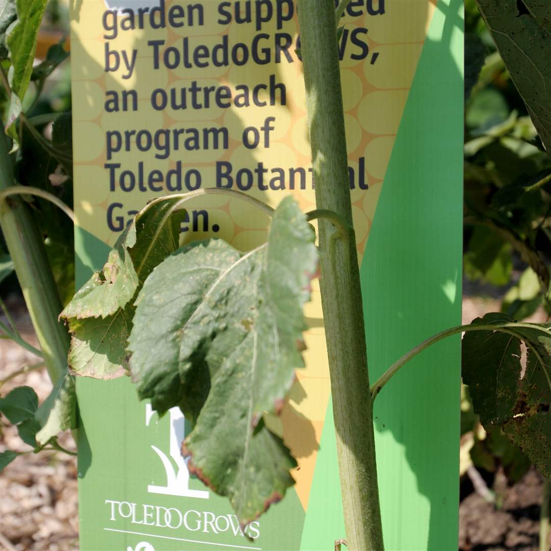 garden-tbg-sign