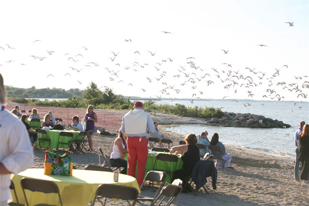Barefoot-Beach-seagulls