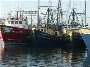 Seafood-Catch.jpg New Bedford, Mass., had the highest-valued catch for the 12th straight year, due largely to its scallop fishery.