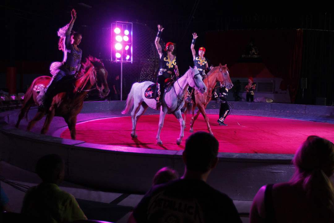 CTY-circus10p-7
