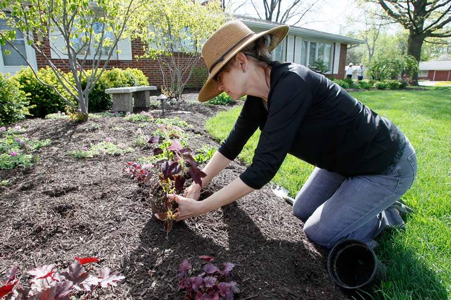 FEA-wiarmeditation06p-Alice-Buehrle-plants-a-coleus