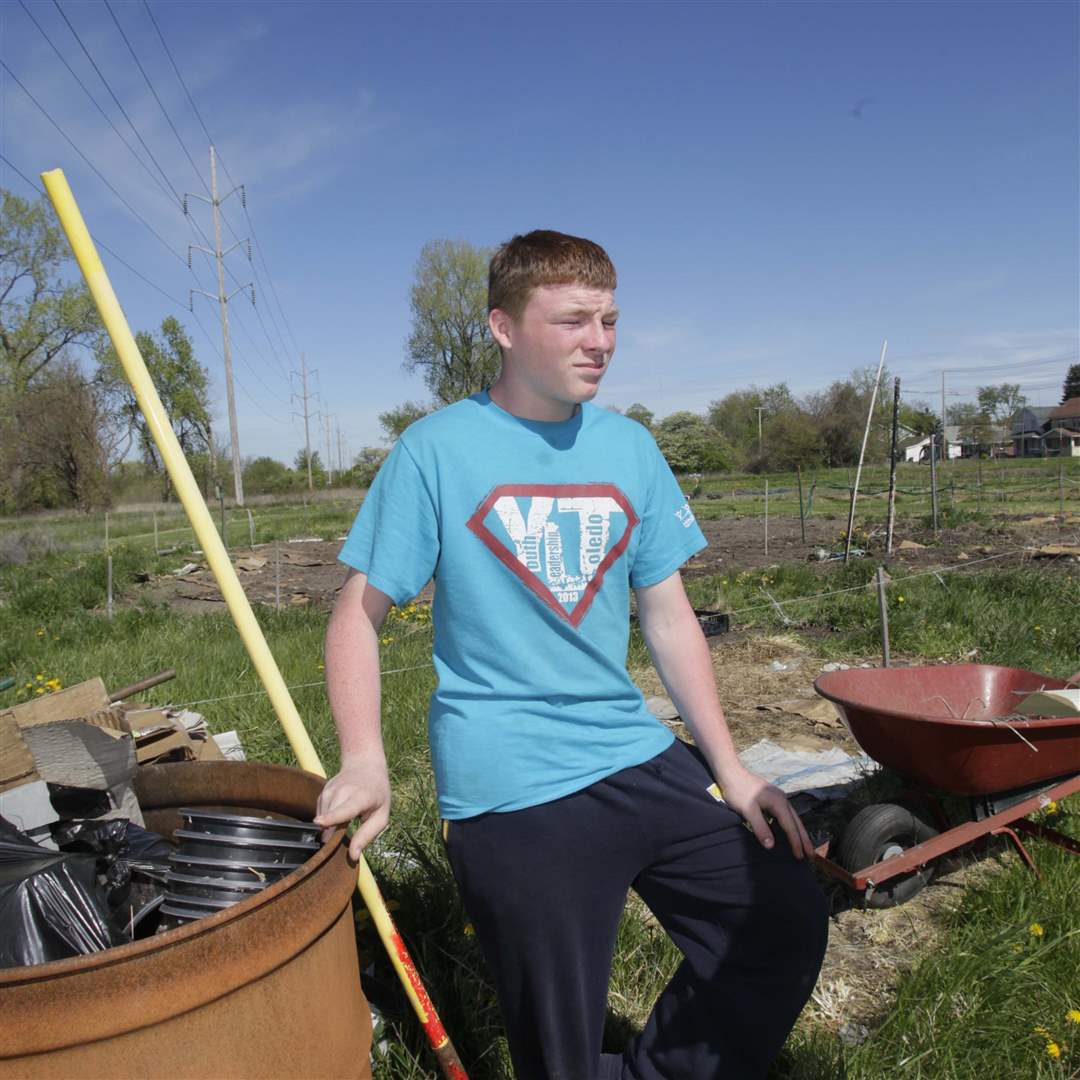 Weed-it-Reap-Jason-Kendall-s-garden-edge-of-plot