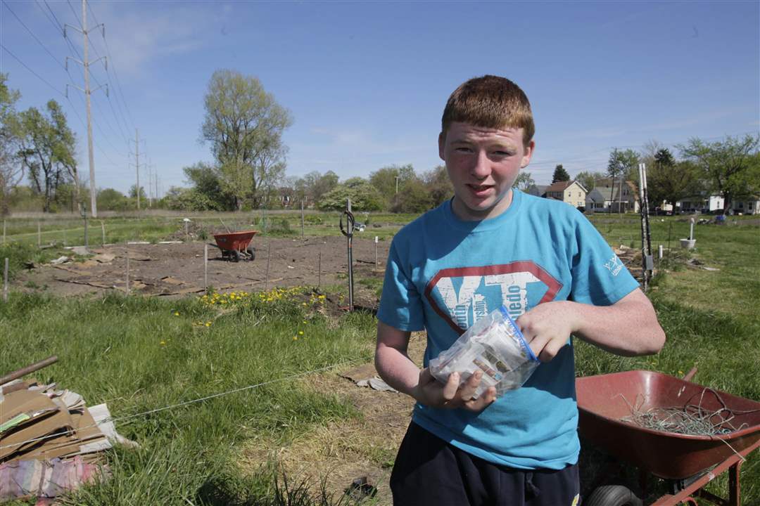 Weed-it-Reap-Jason-Kendall-s-garden-seeds