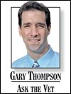 Ask-the-Vet-Thompson-1.jpg