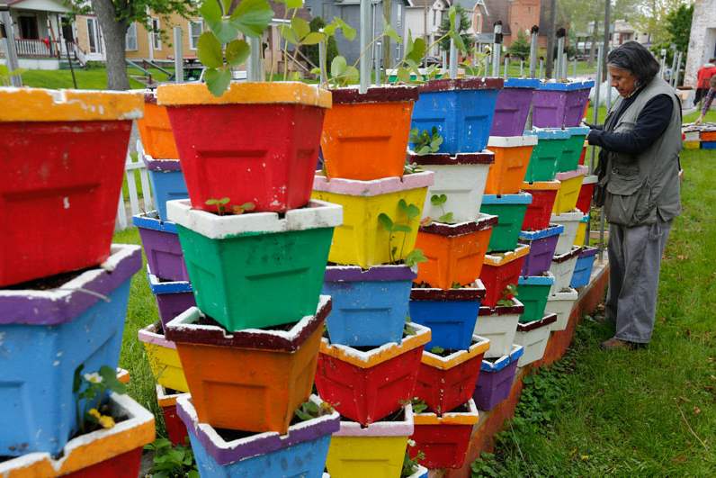 FEA-wiarjoe20pJoe-Balderas-plants-strawberry-plants-in-vertical-baskets