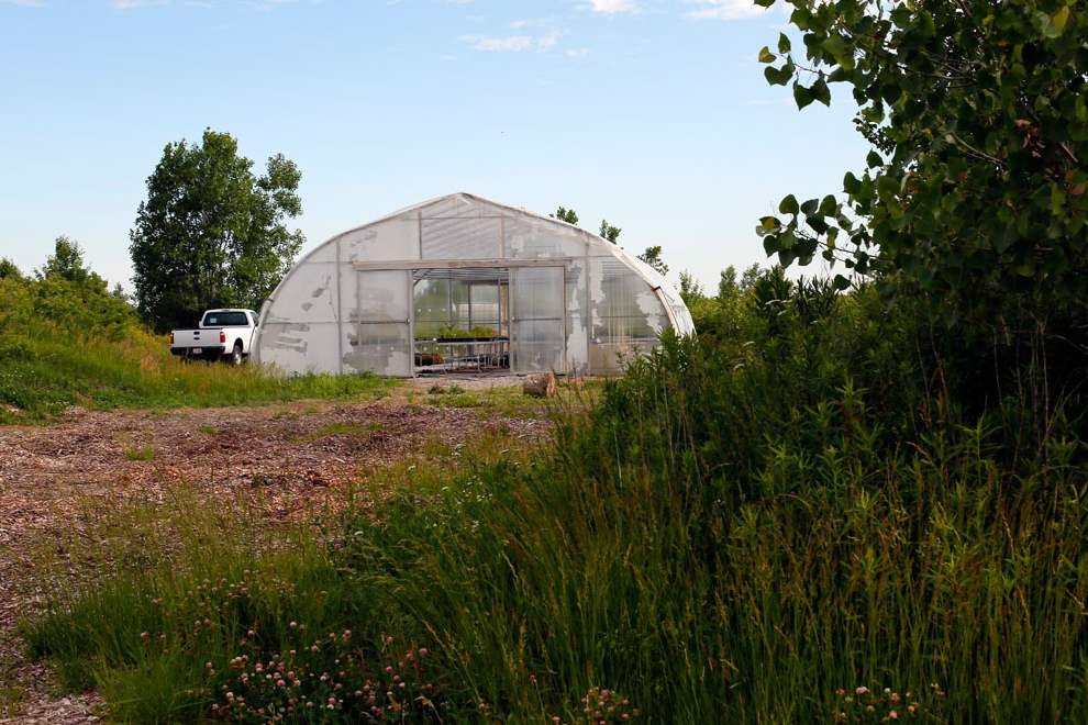 Olander-Park-greenhouse-6-15
