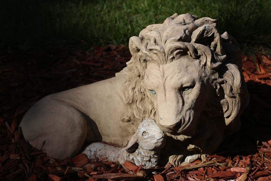 wiarshirley17p-lion-and-lamb-statue