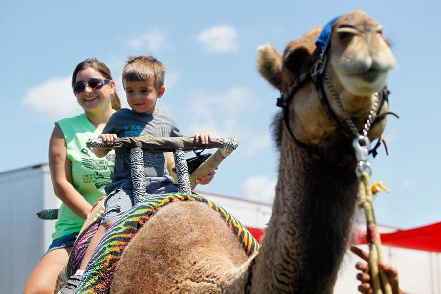 circus03p-camel-ride
