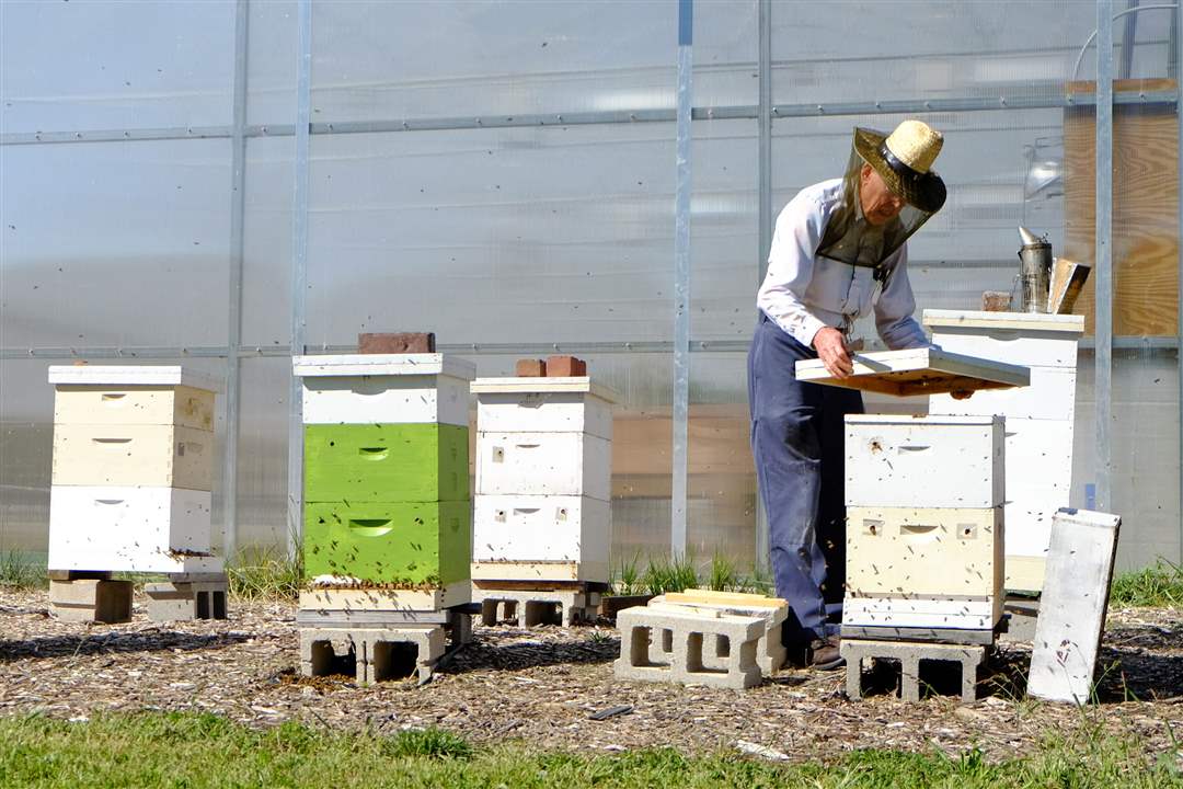 ROV-beekeeper15pHorace-Huse-of-Toledo-is-a-volu