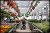 Ohio, Michigan flower sales among best in nation