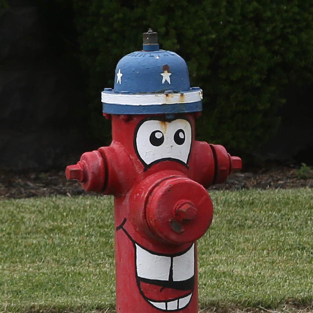 FLAG03Hydrant