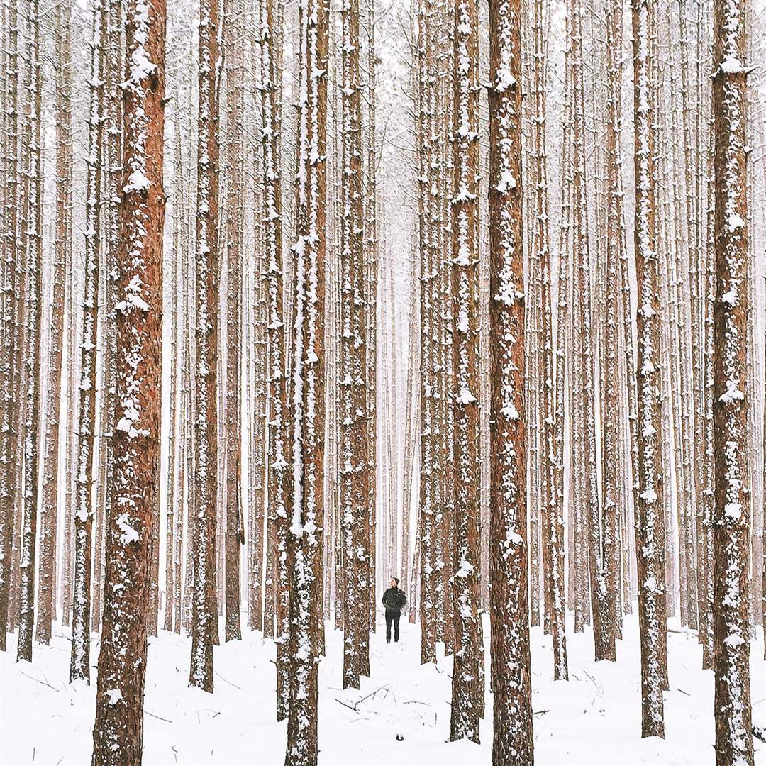 The Spot at Oak Openings - The Blade